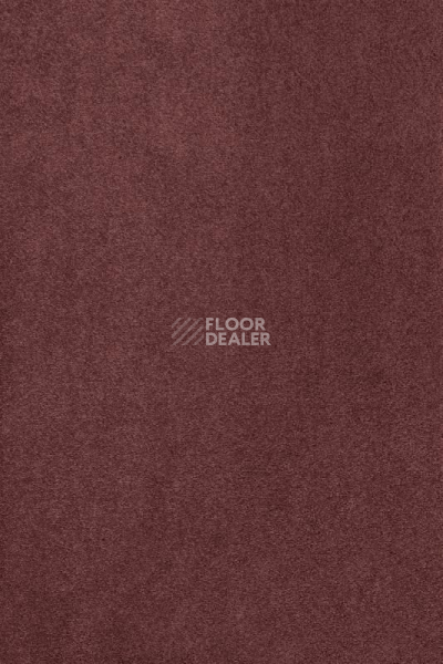 Ковролин AW Masquerade Kai 14 фото 1 | FLOORDEALER